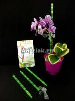 Опора пластиковая для орхидей Диамант зеленая